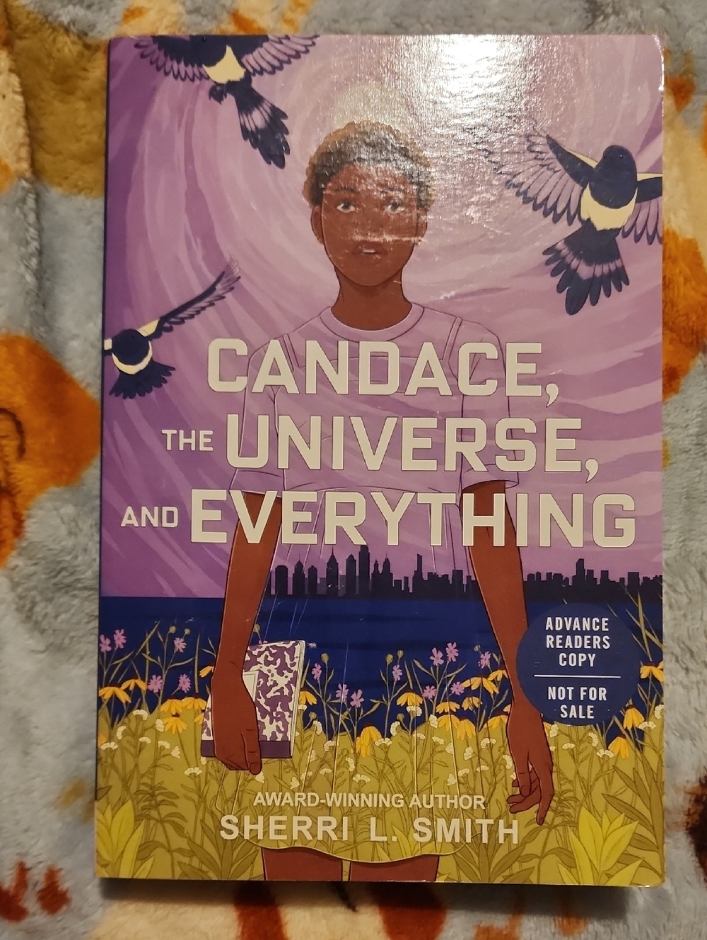 Candace, The Universe, And Everything By Sherri L Smith Paperback